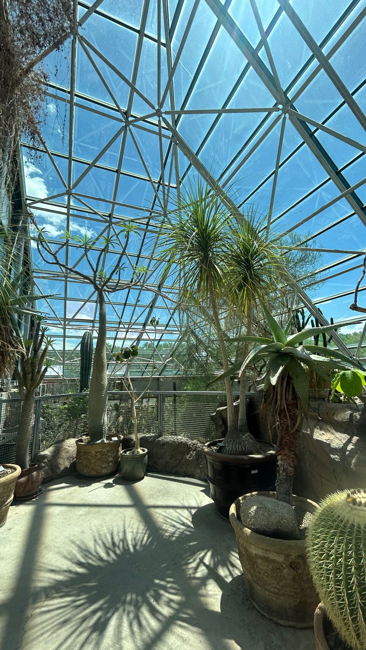 zommmbri instagram image archive image