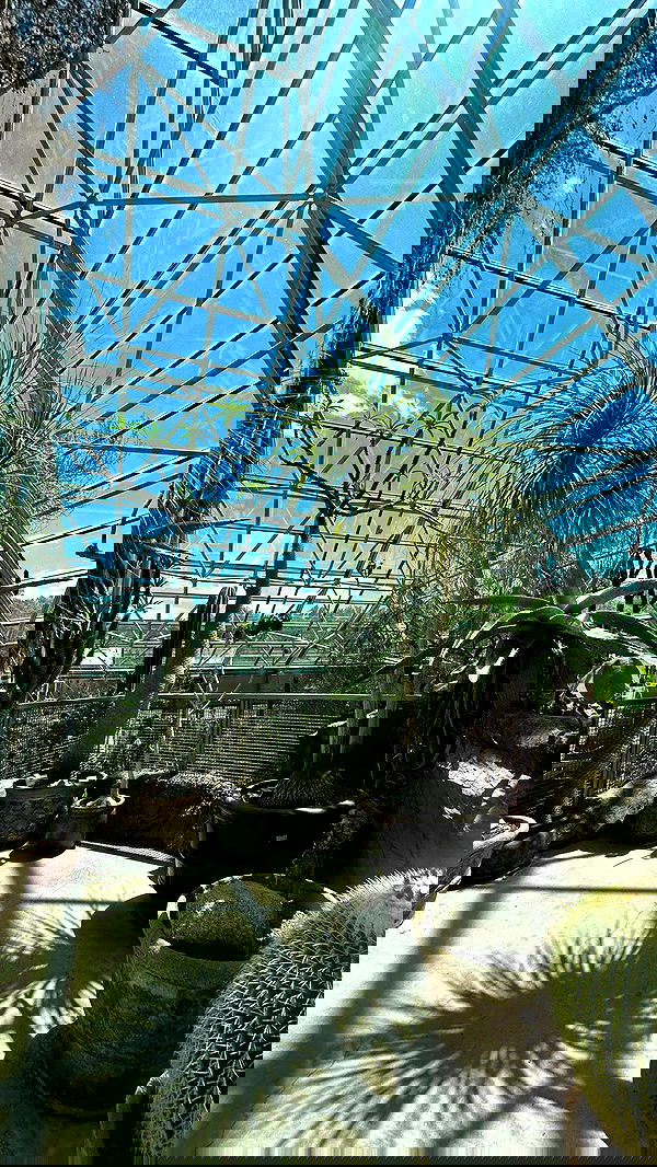 zommmbri image ~ Altpins