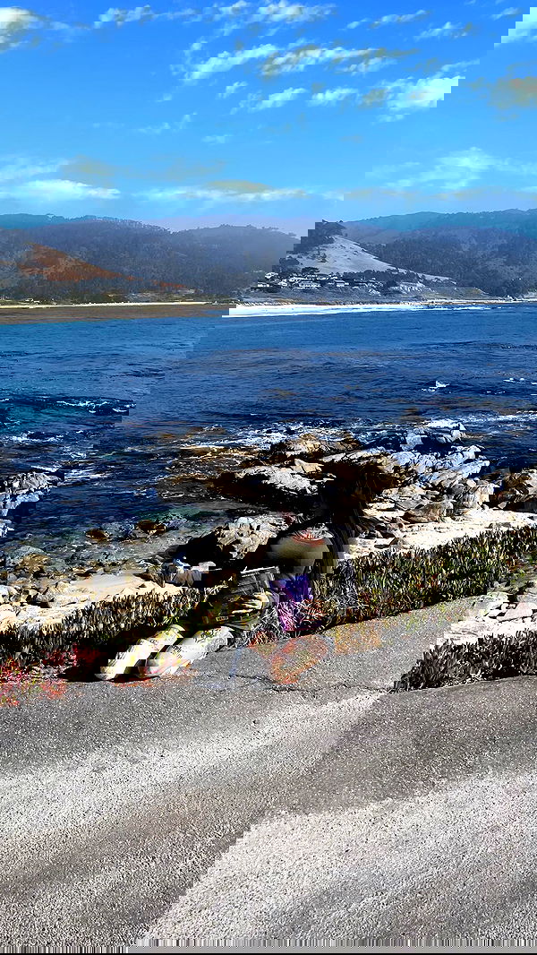 zommmbri image ~ Altpins