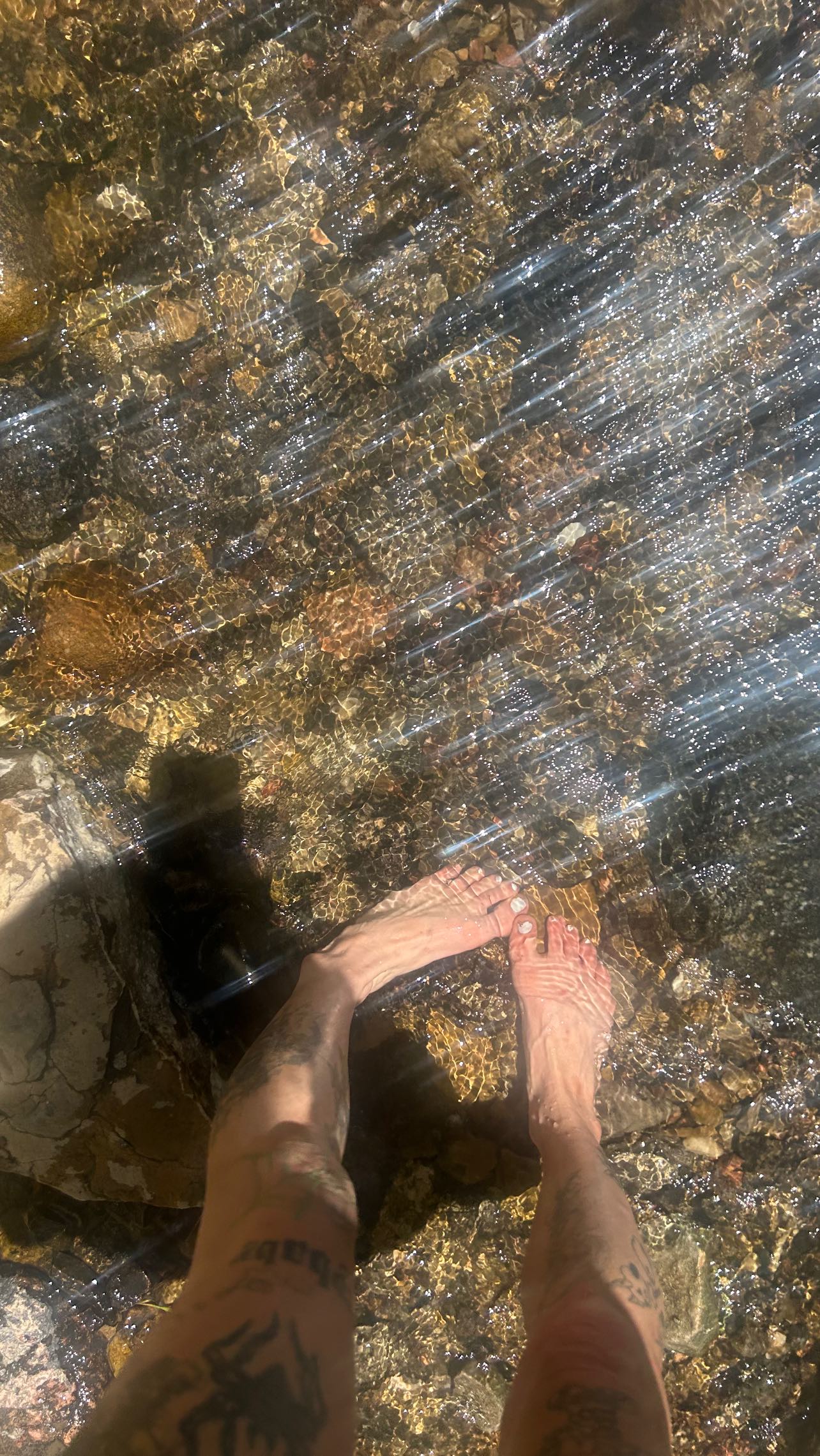 zommmbri instagram image archive image