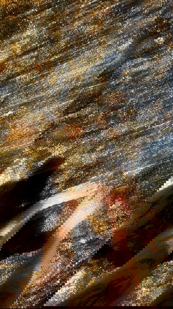 zommmbri image ~ Altpins