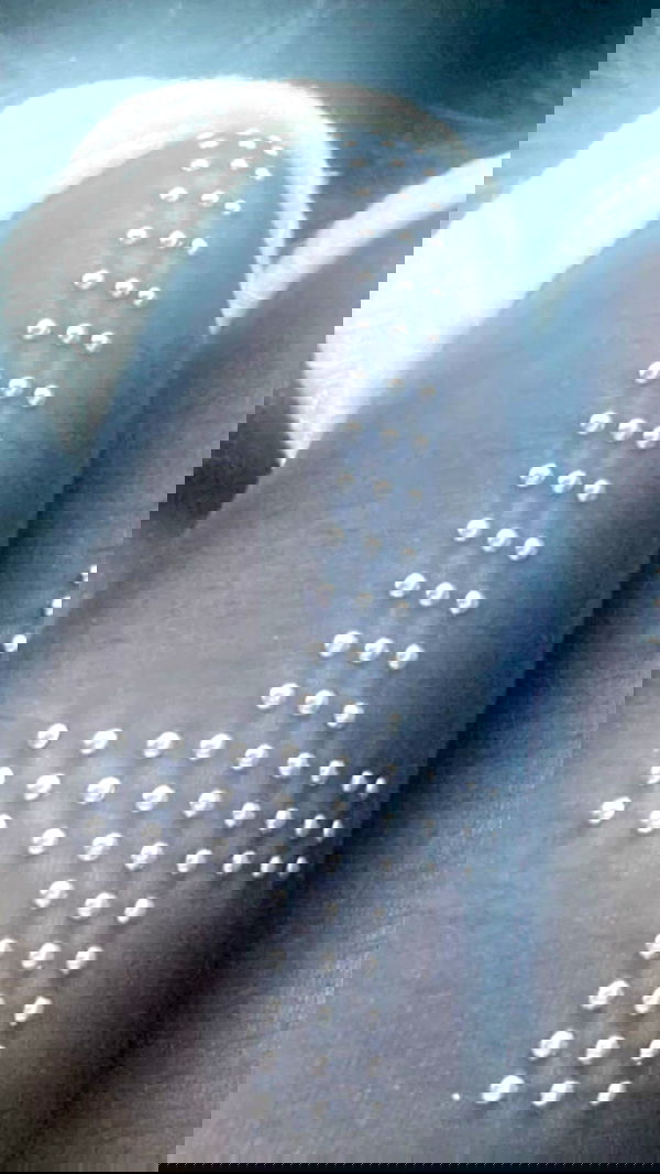 zommmbri image ~ Altpins