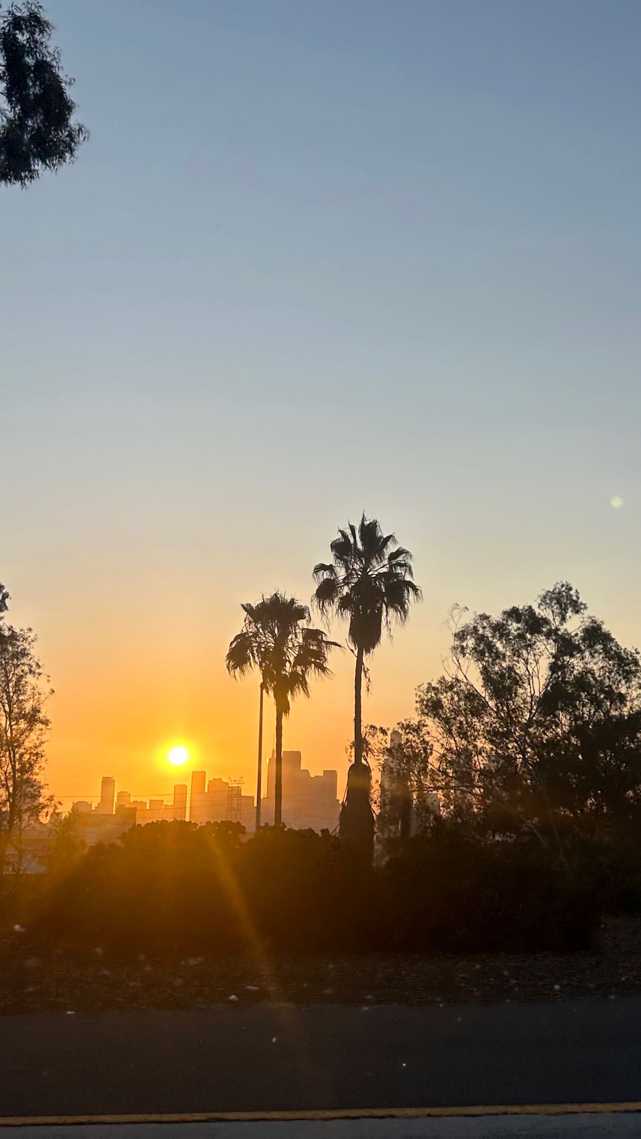 zommmbri instagram image archive image