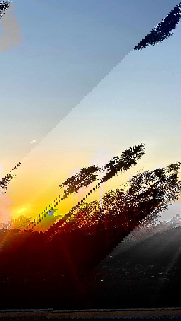 zommmbri image ~ Altpins