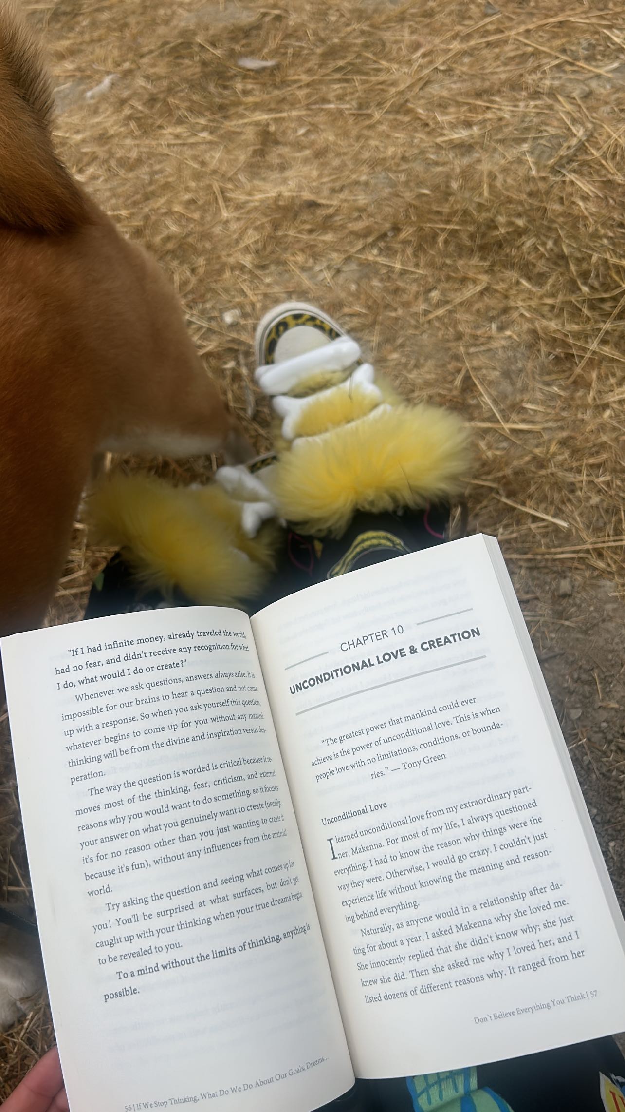 zommmbri instagram image archive image