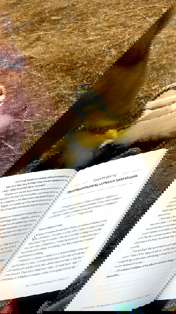 zommmbri image ~ Altpins