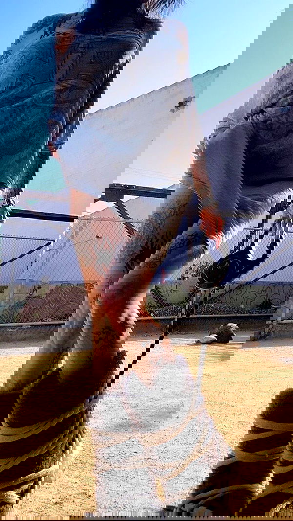 zommmbri image ~ Altpins