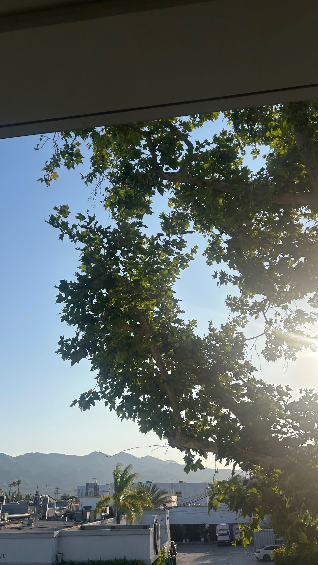 zommmbri instagram image archive image