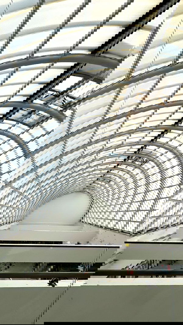 zommmbri image ~ Altpins