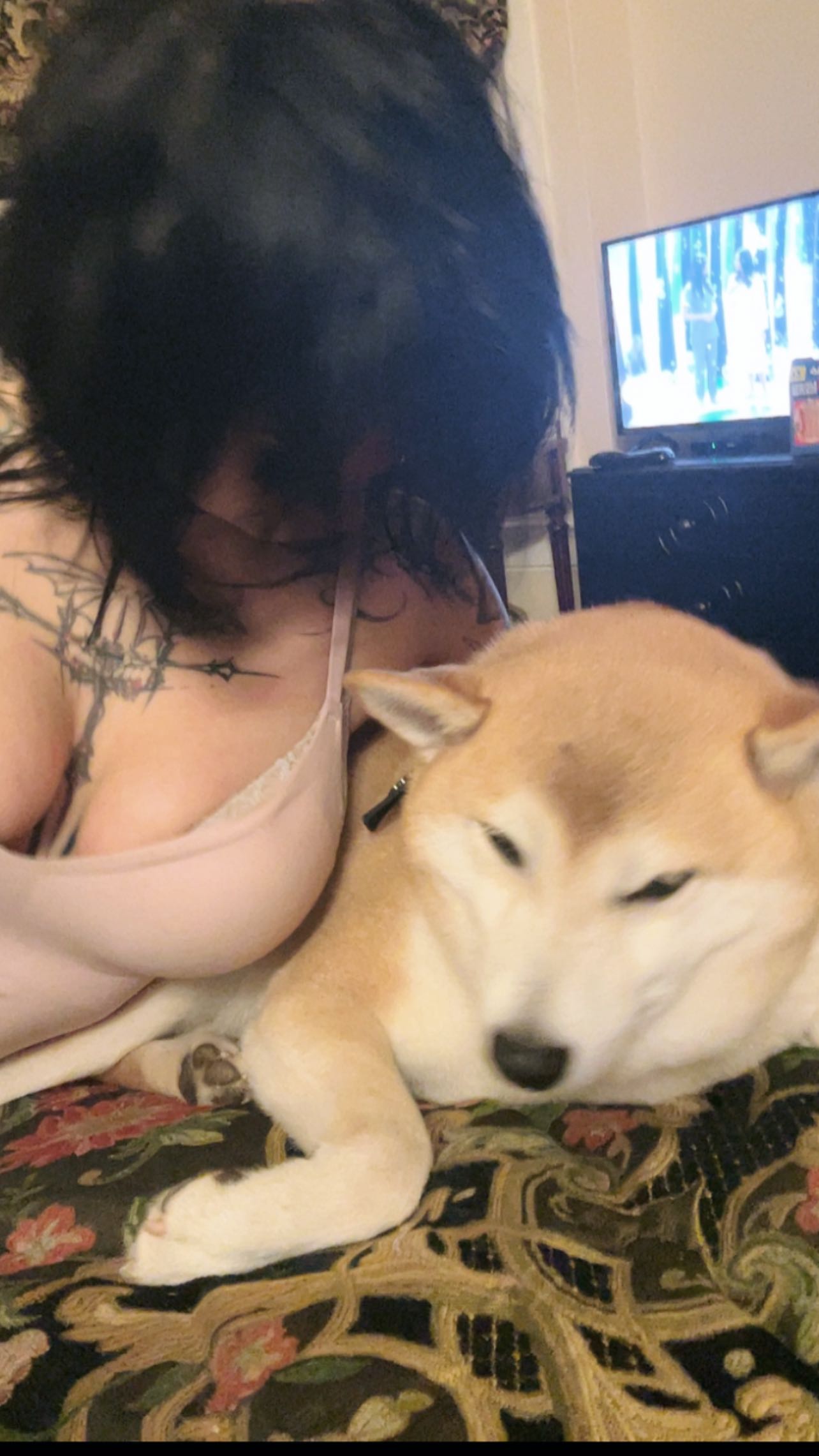 zommmbri instagram image archive image