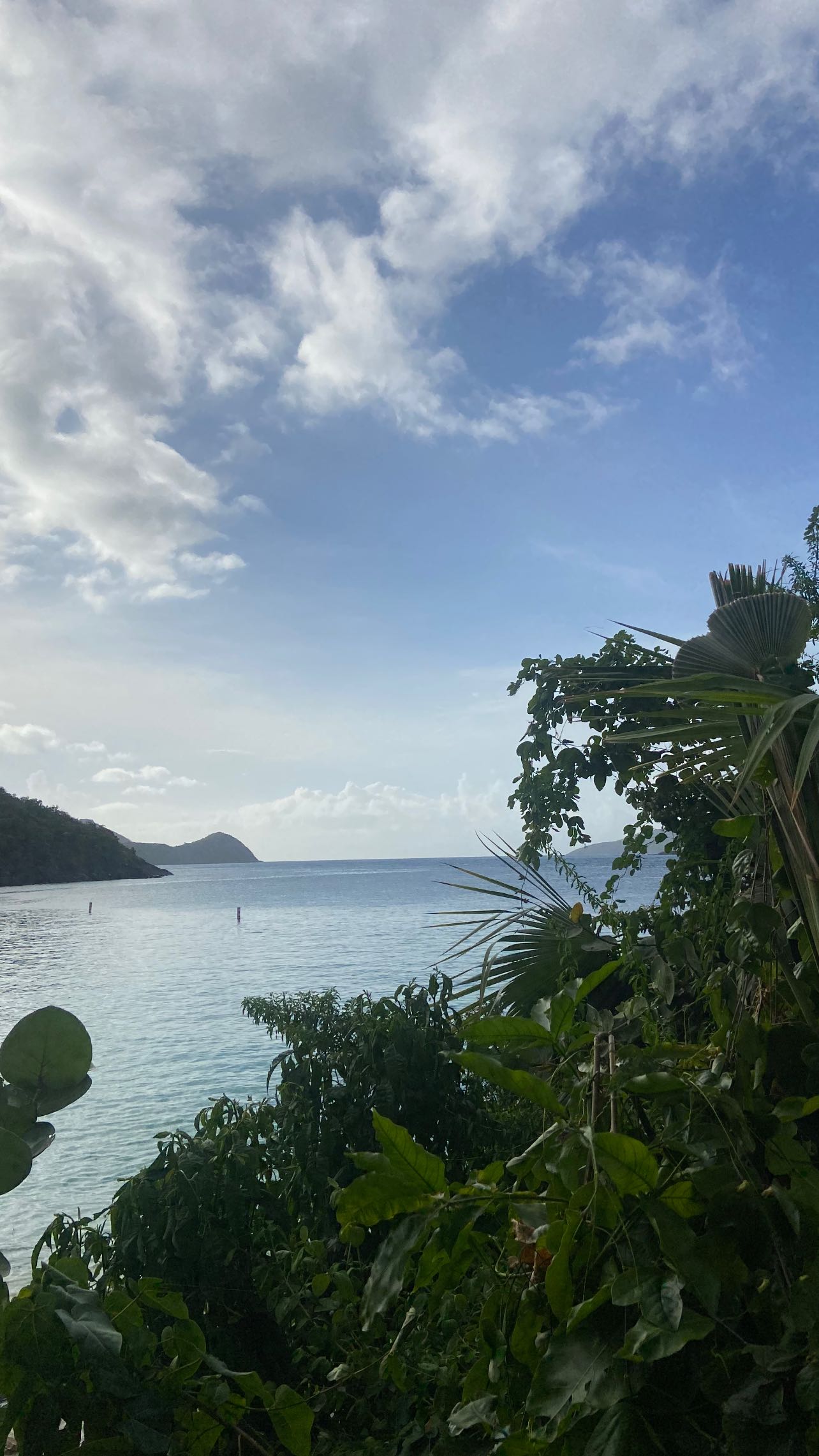 zommmbri instagram image archive image