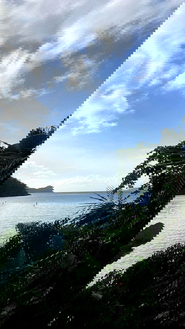 zommmbri image ~ Altpins