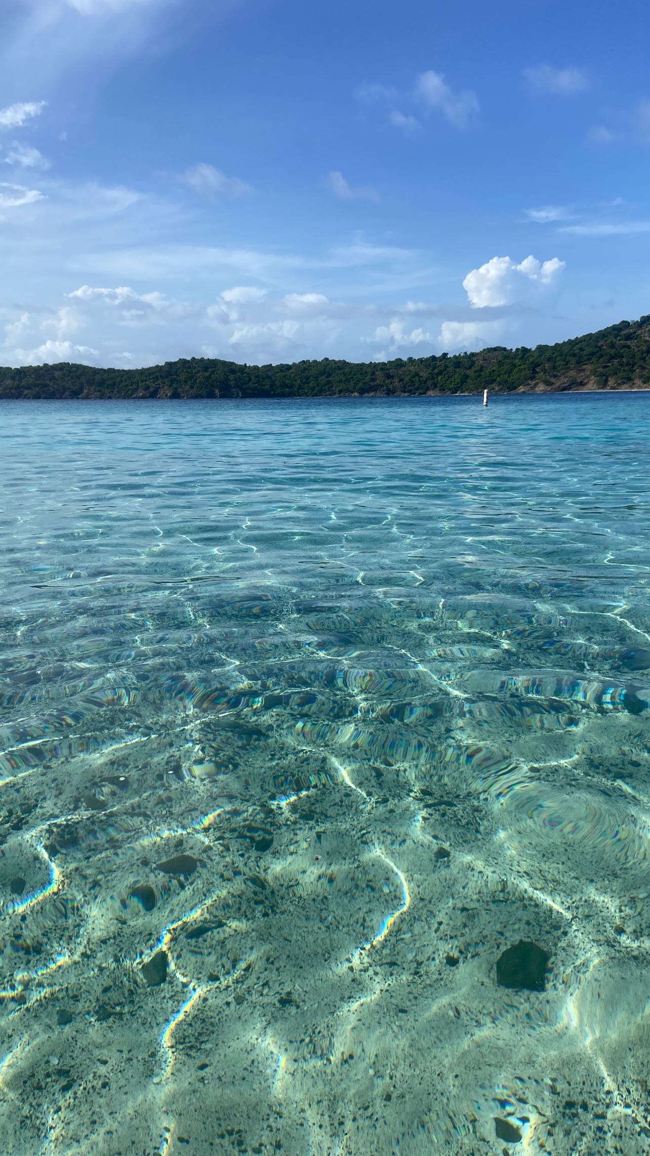 zommmbri instagram image archive image