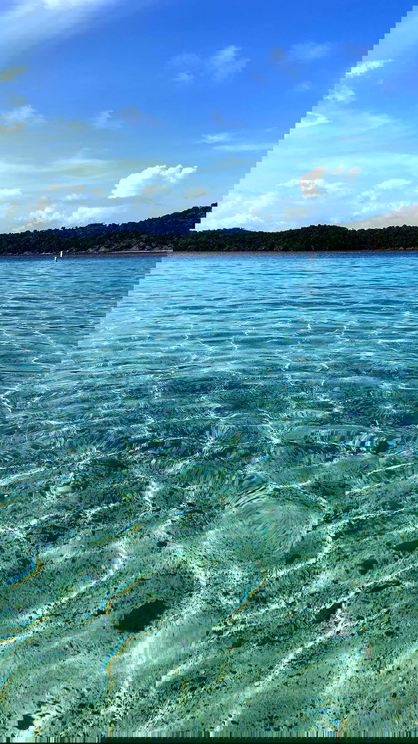 zommmbri image ~ Altpins