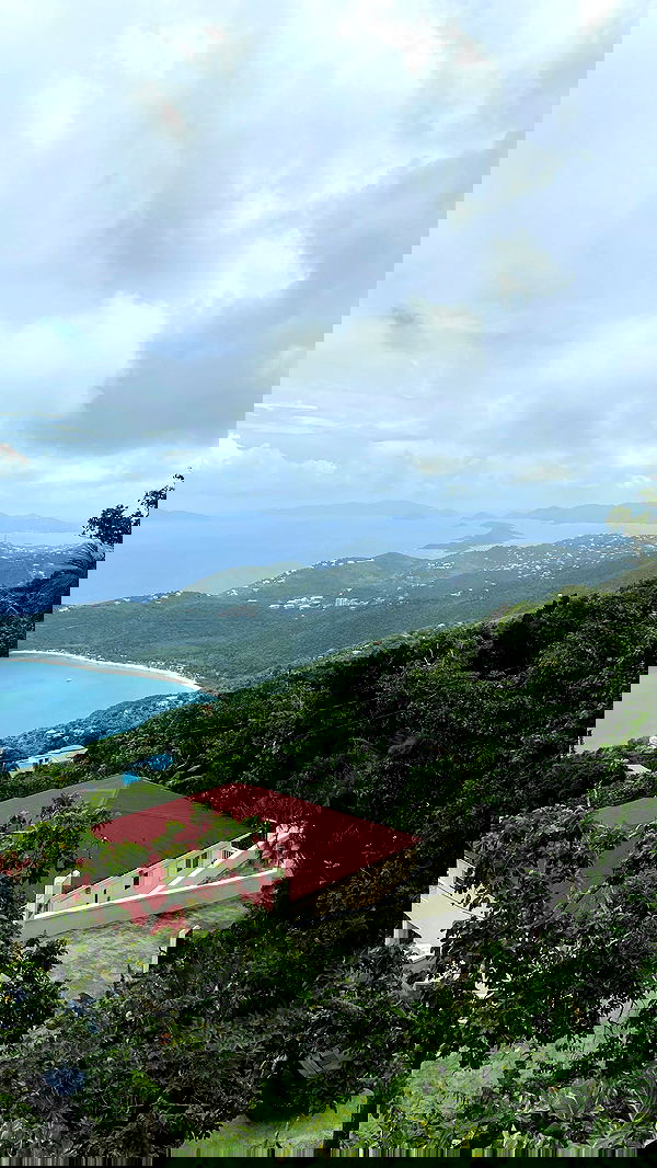 zommmbri image ~ Altpins