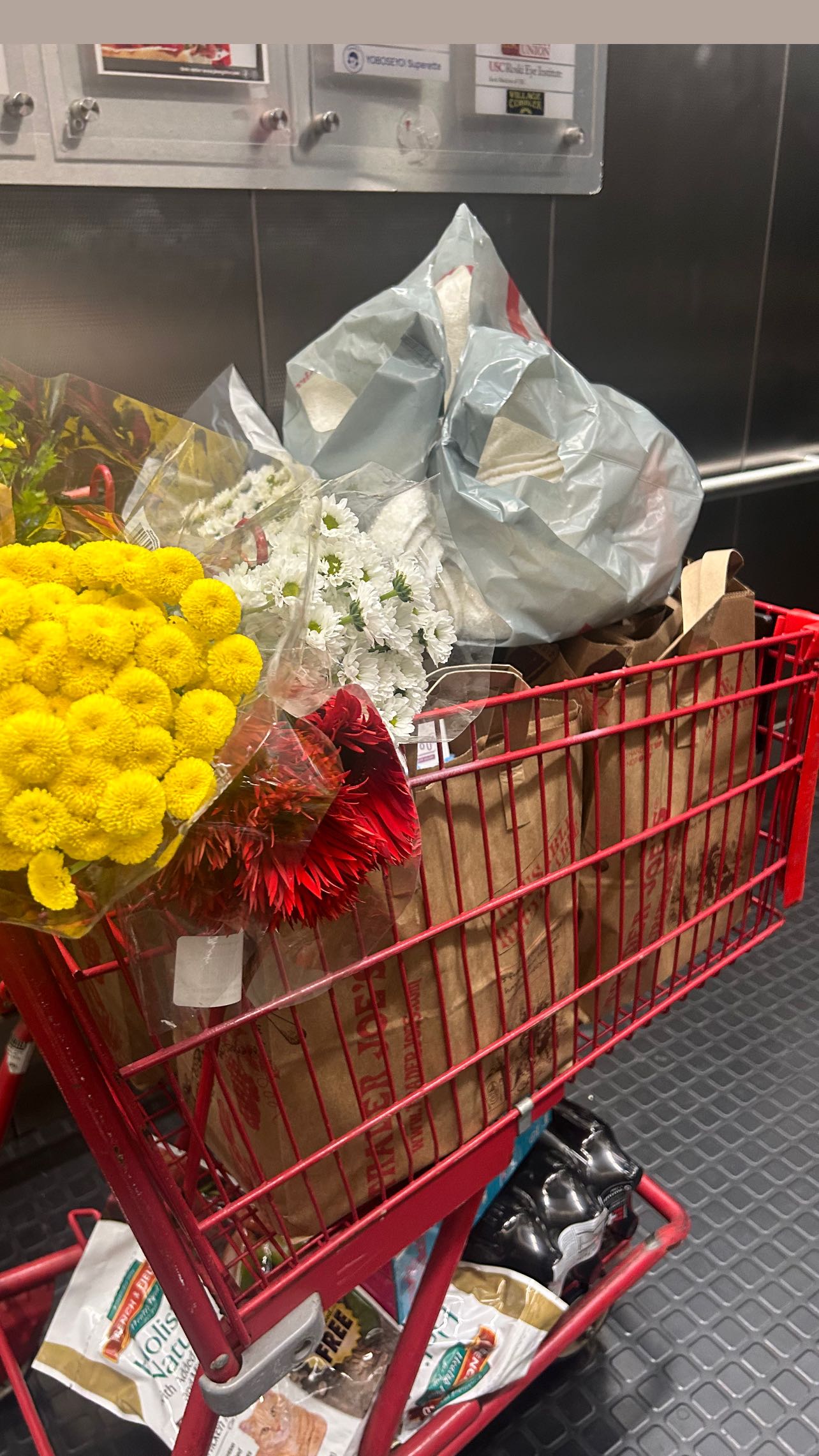 zommmbri instagram image archive image