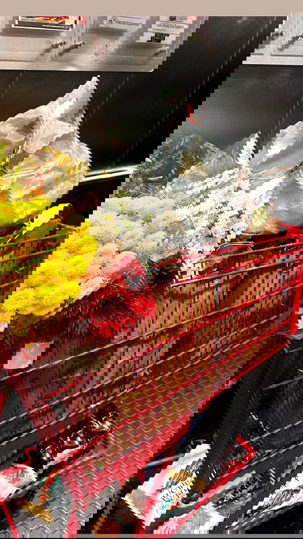 zommmbri image ~ Altpins