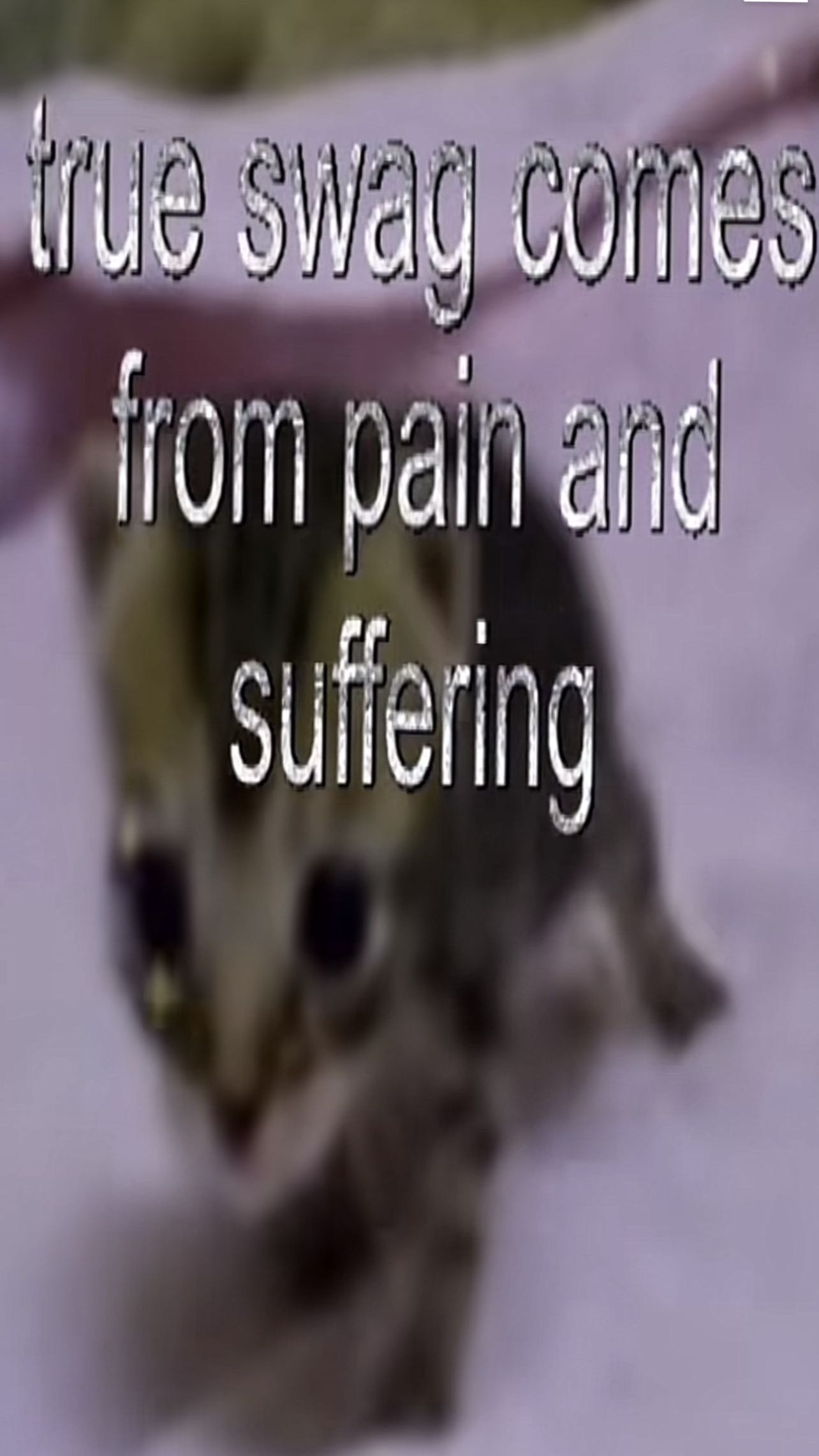 zommmbri instagram image archive image