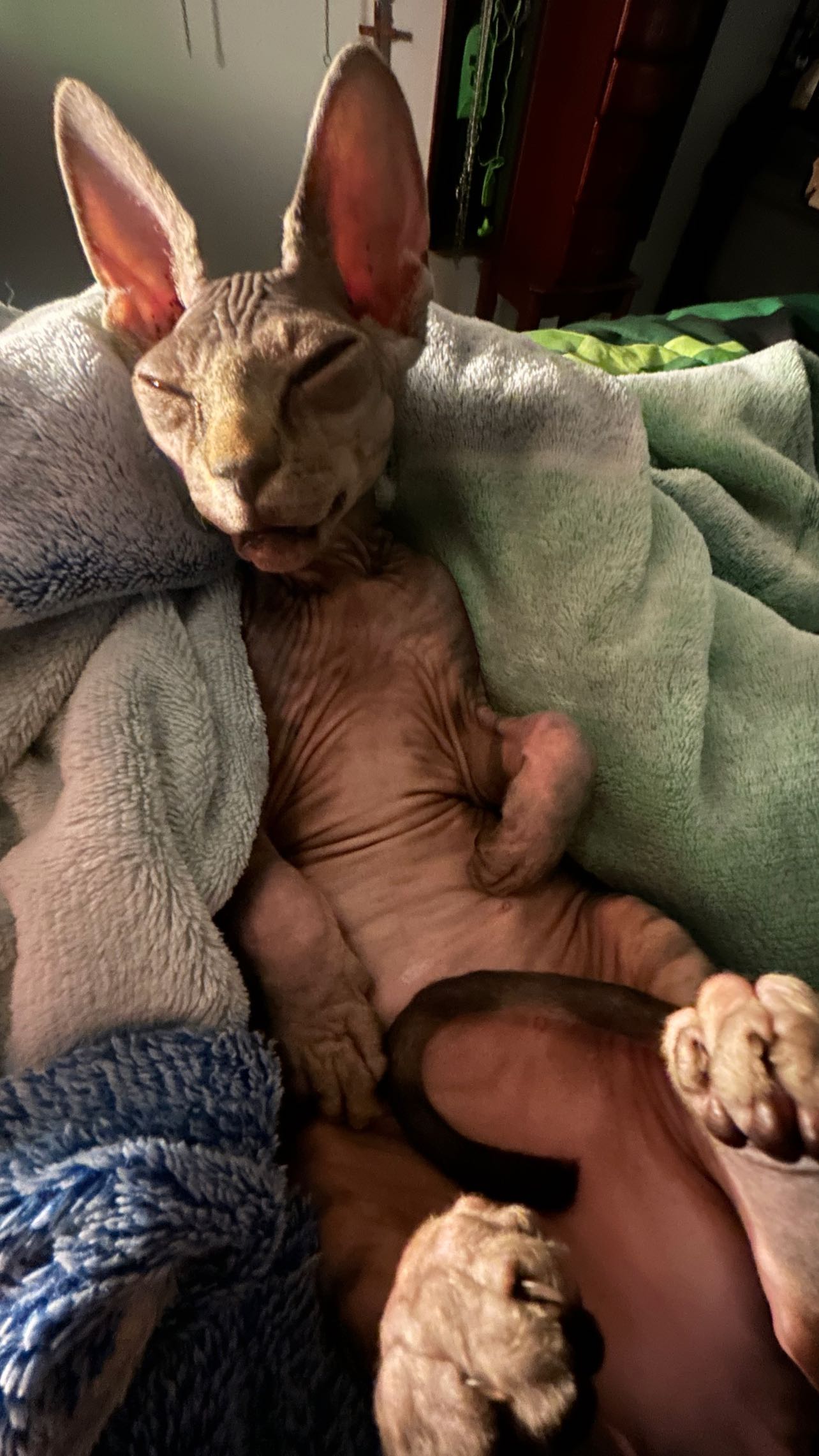 zommmbri instagram image archive image