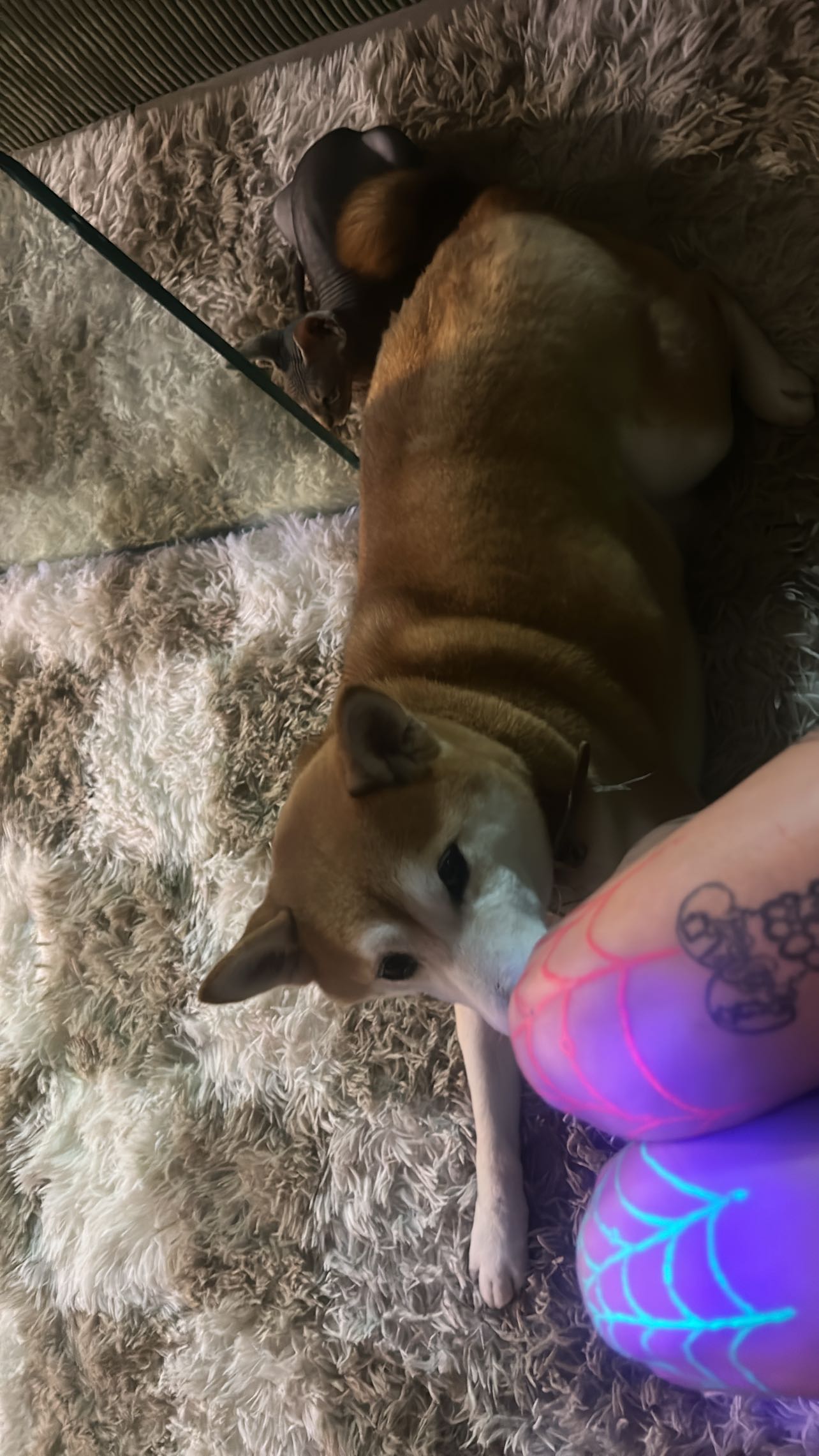 zommmbri instagram image archive image