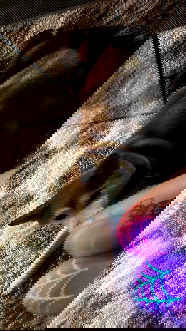 zommmbri image ~ Altpins