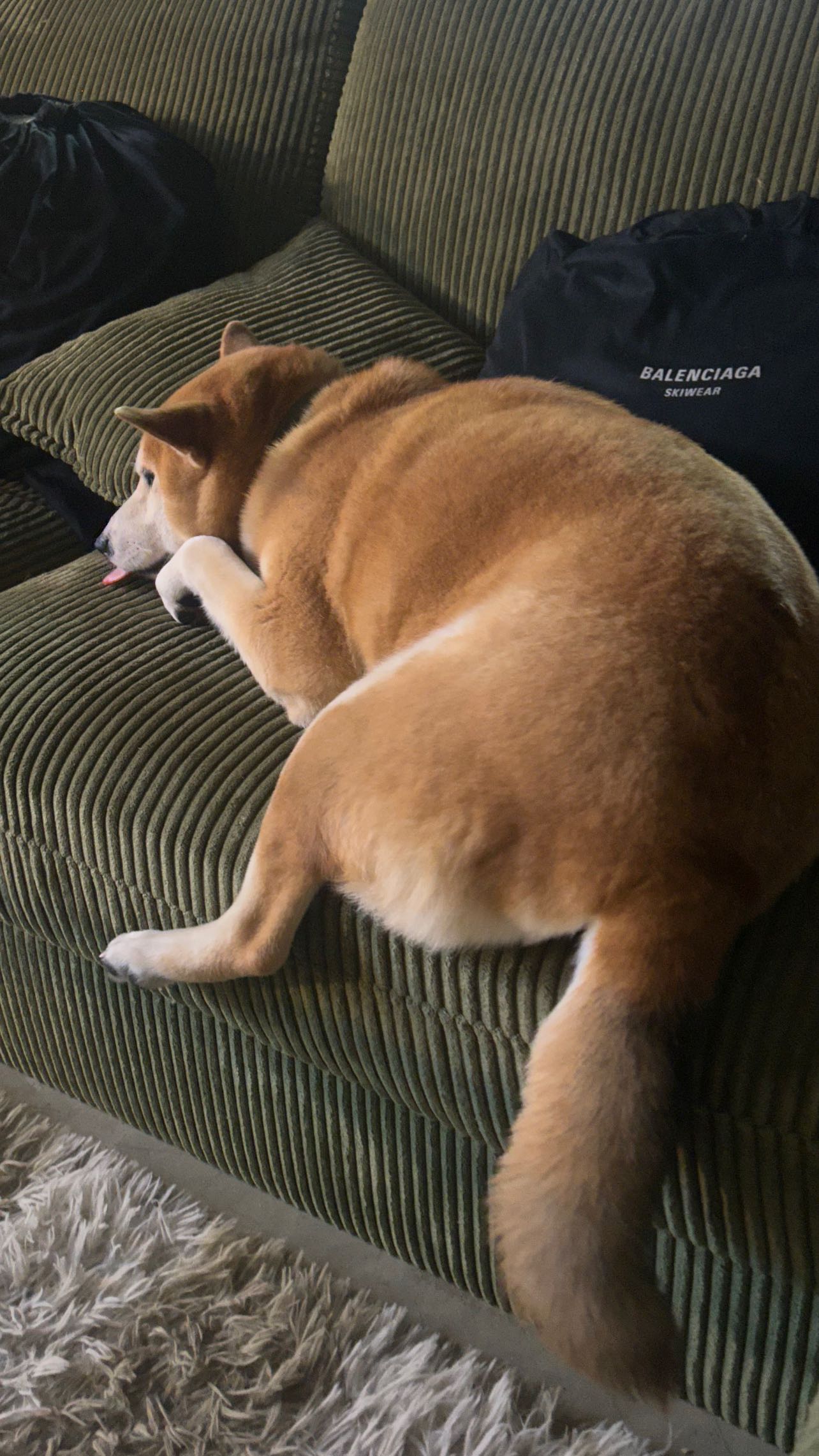 zommmbri instagram image archive image