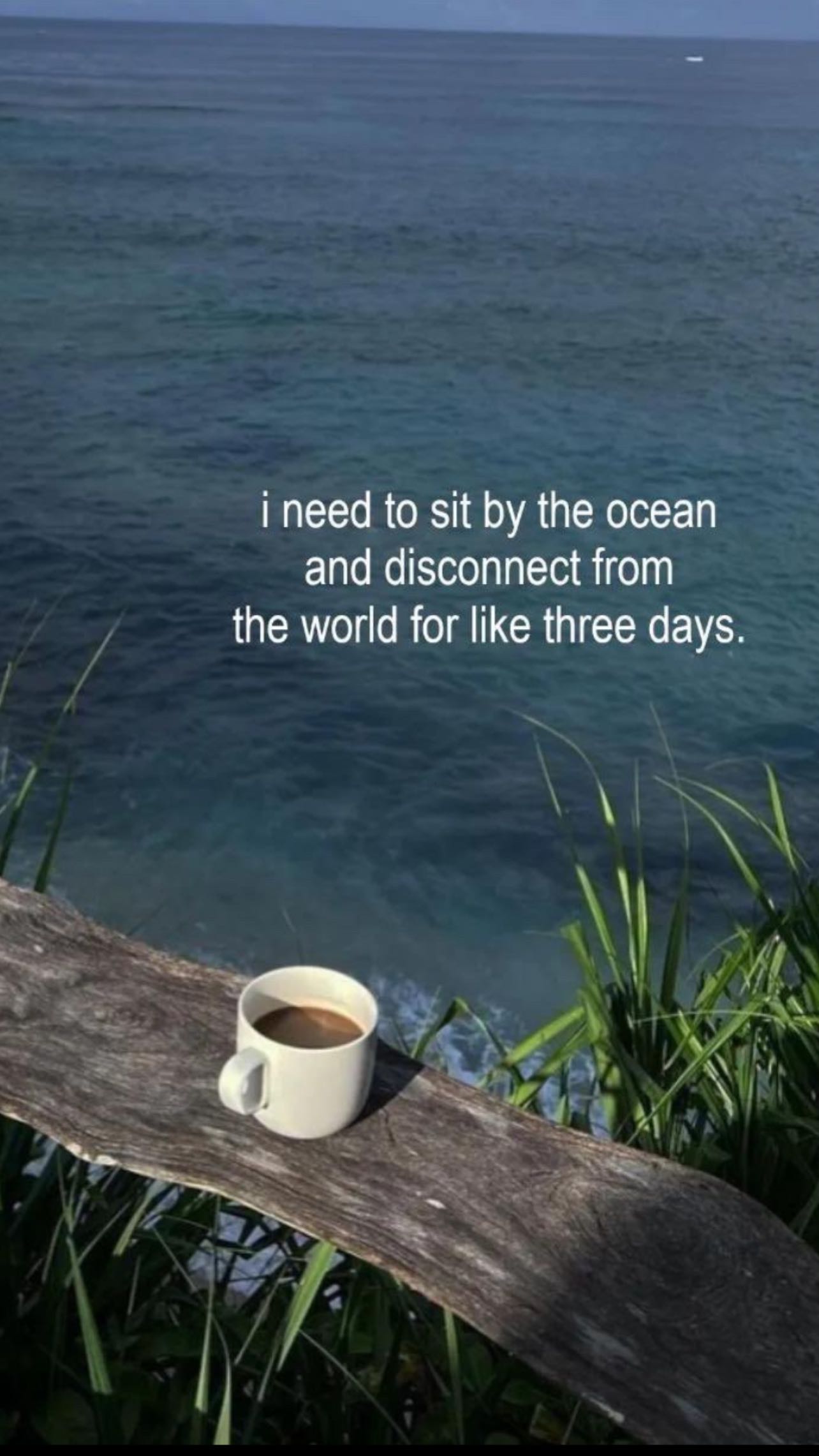 zommmbri instagram image archive image