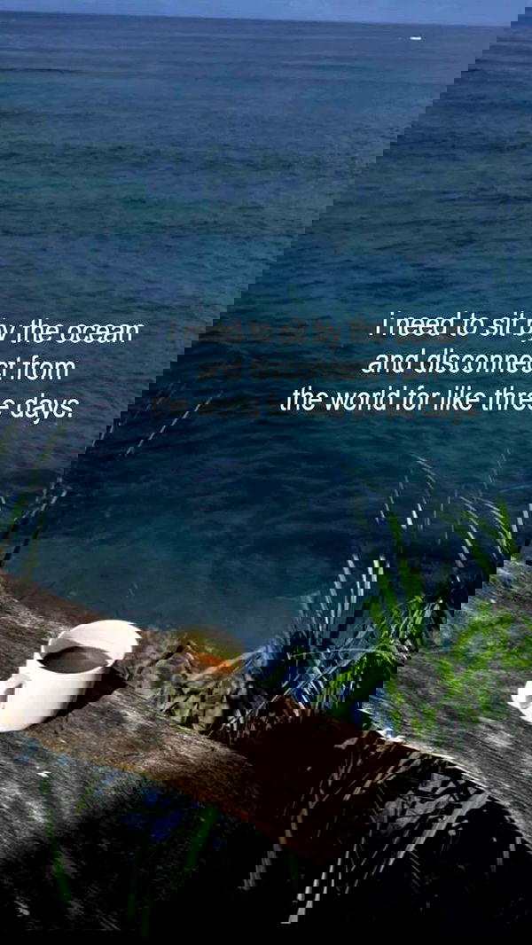 zommmbri image ~ Altpins