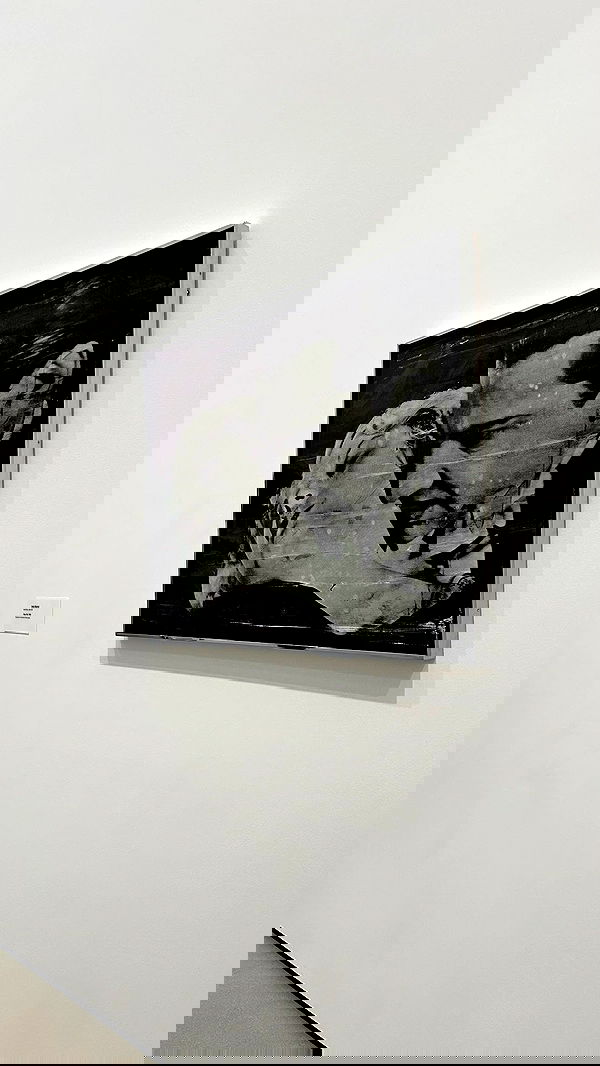 zommmbri image ~ Altpins