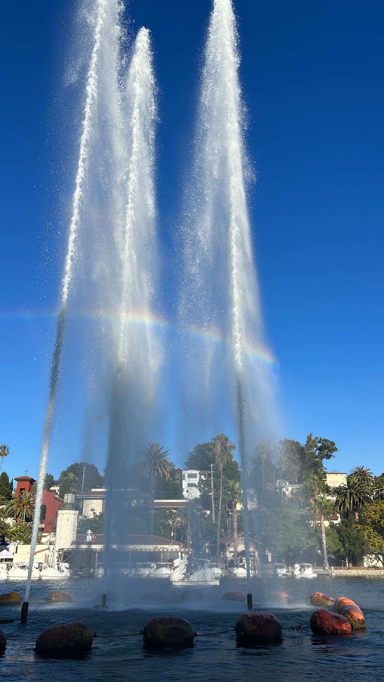 zommmbri instagram image archive image