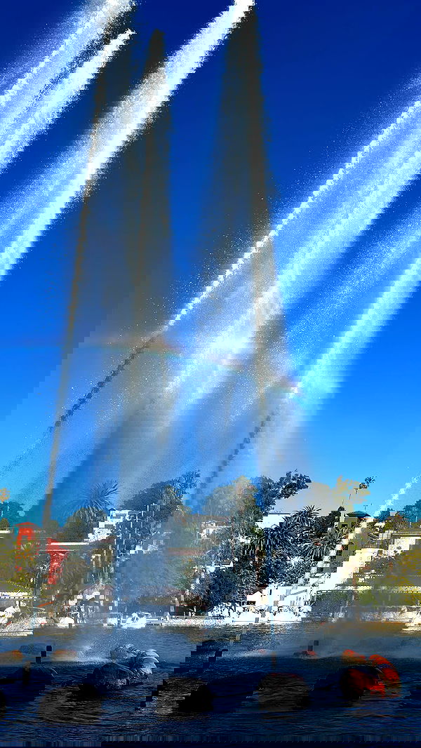 zommmbri image ~ Altpins