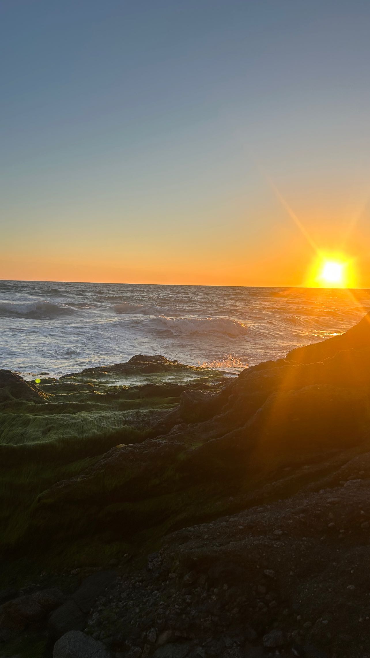 zommmbri instagram image archive image