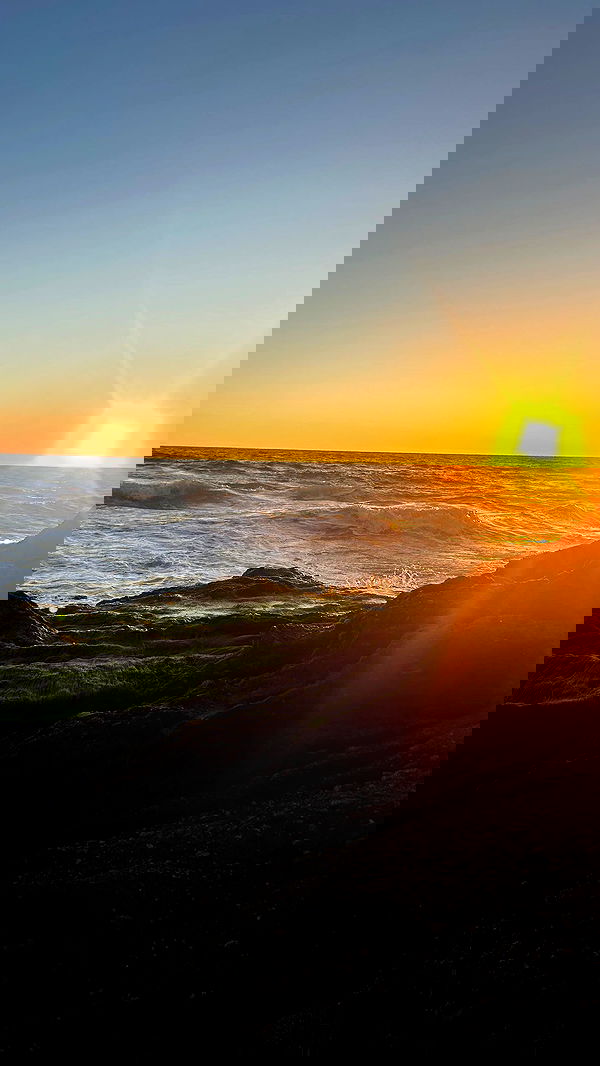 zommmbri image ~ Altpins