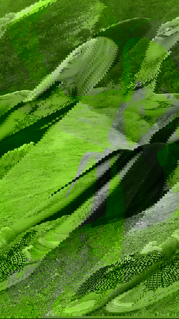 zommmbri image ~ Altpins