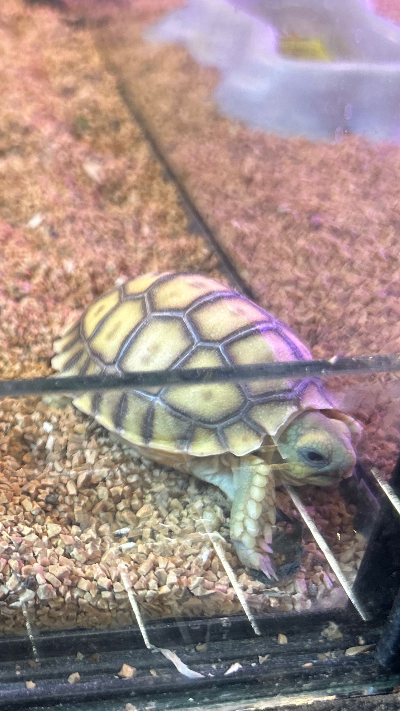 zommmbri instagram image archive image