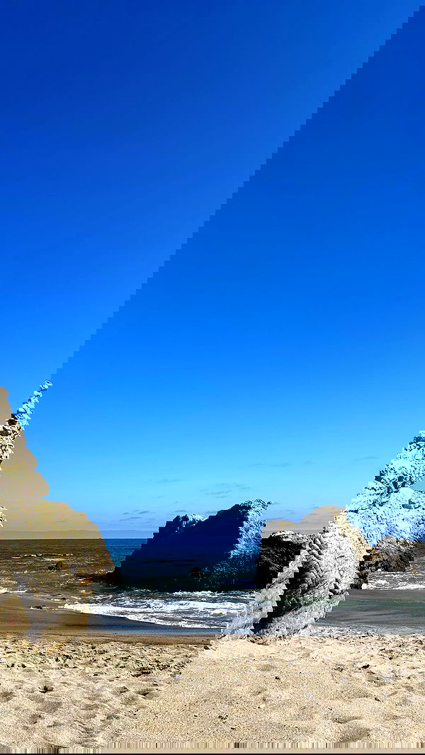 zommmbri image ~ Altpins