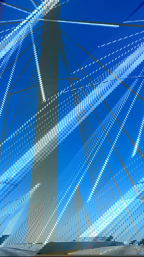 zommmbri image ~ Altpins