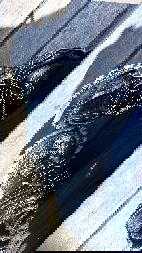 zommmbri image ~ Altpins