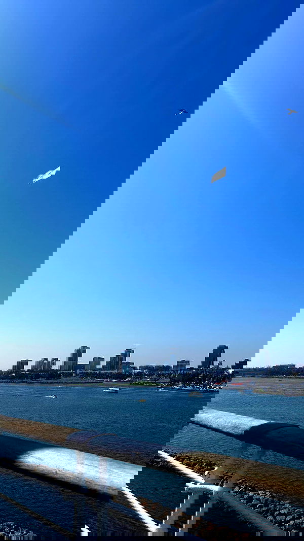 zommmbri image ~ Altpins