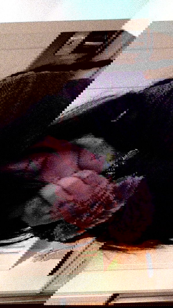 zommmbri image ~ Altpins