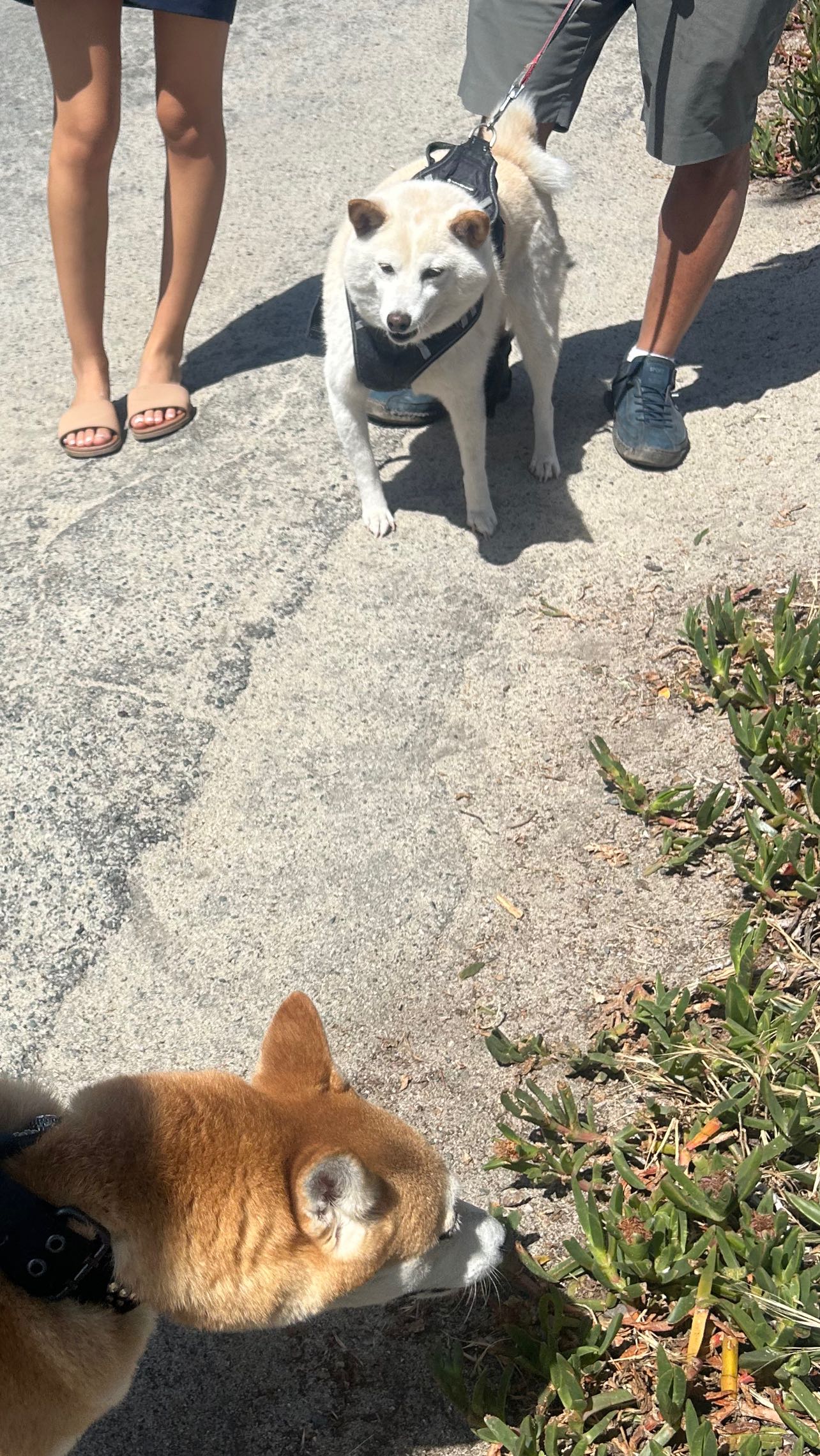 zommmbri instagram image archive image