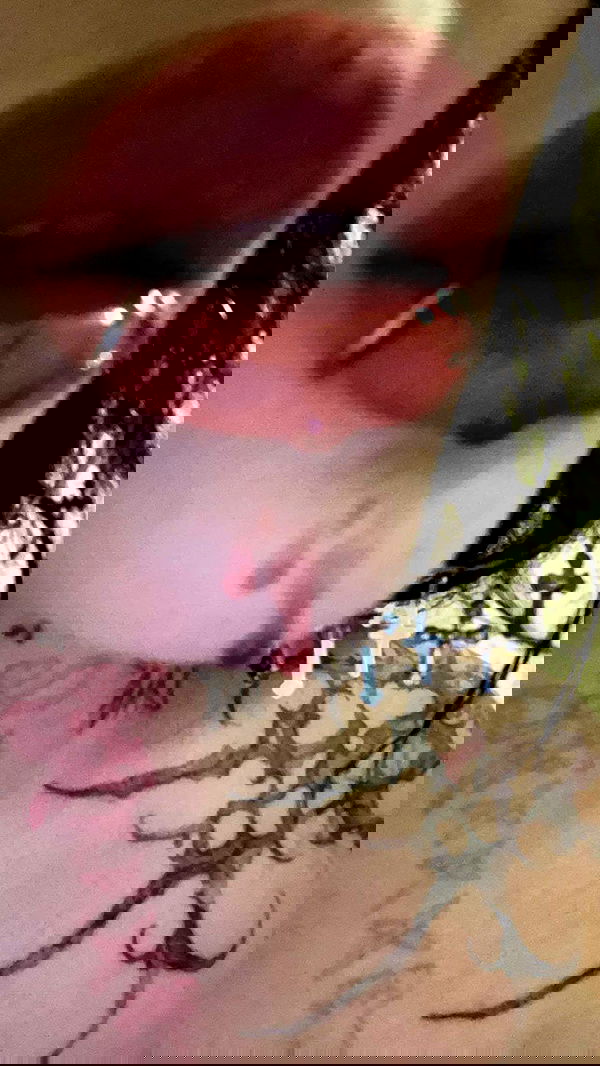 zommmbri image ~ Altpins