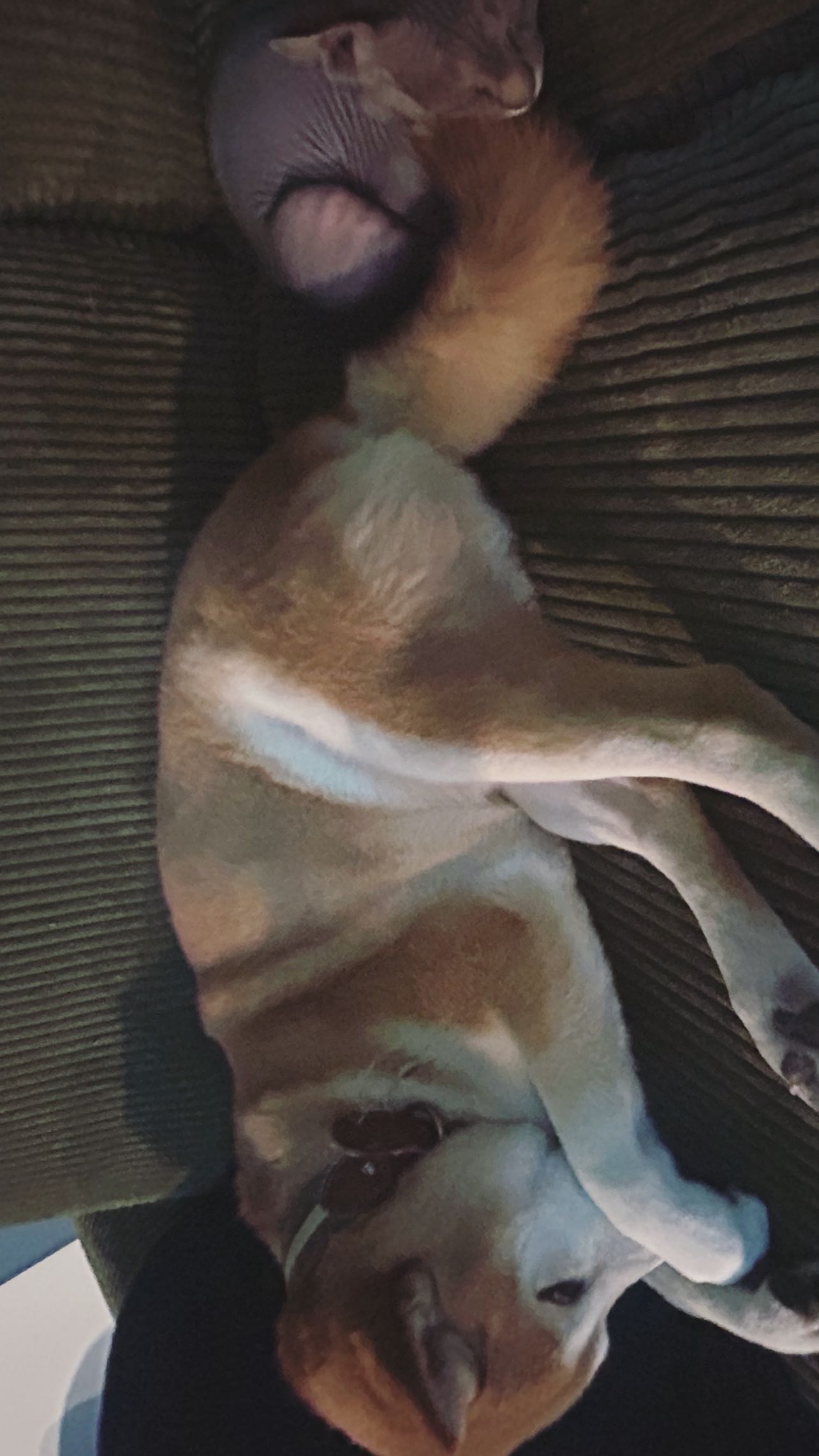 zommmbri instagram image archive image