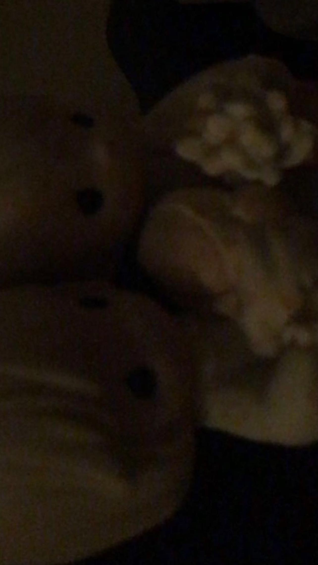 zommmbri instagram image archive image