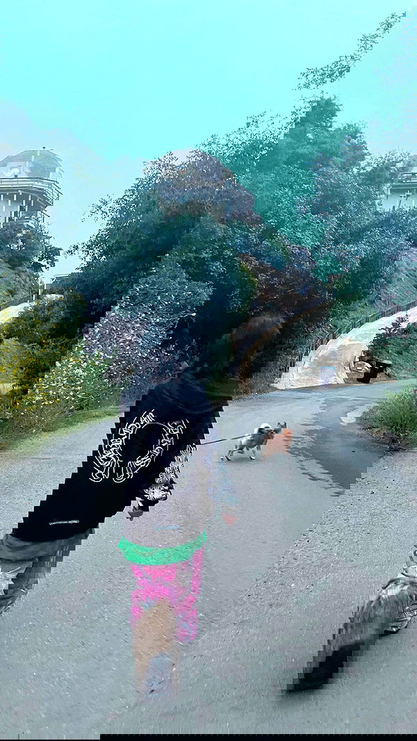 zommmbri image ~ Altpins