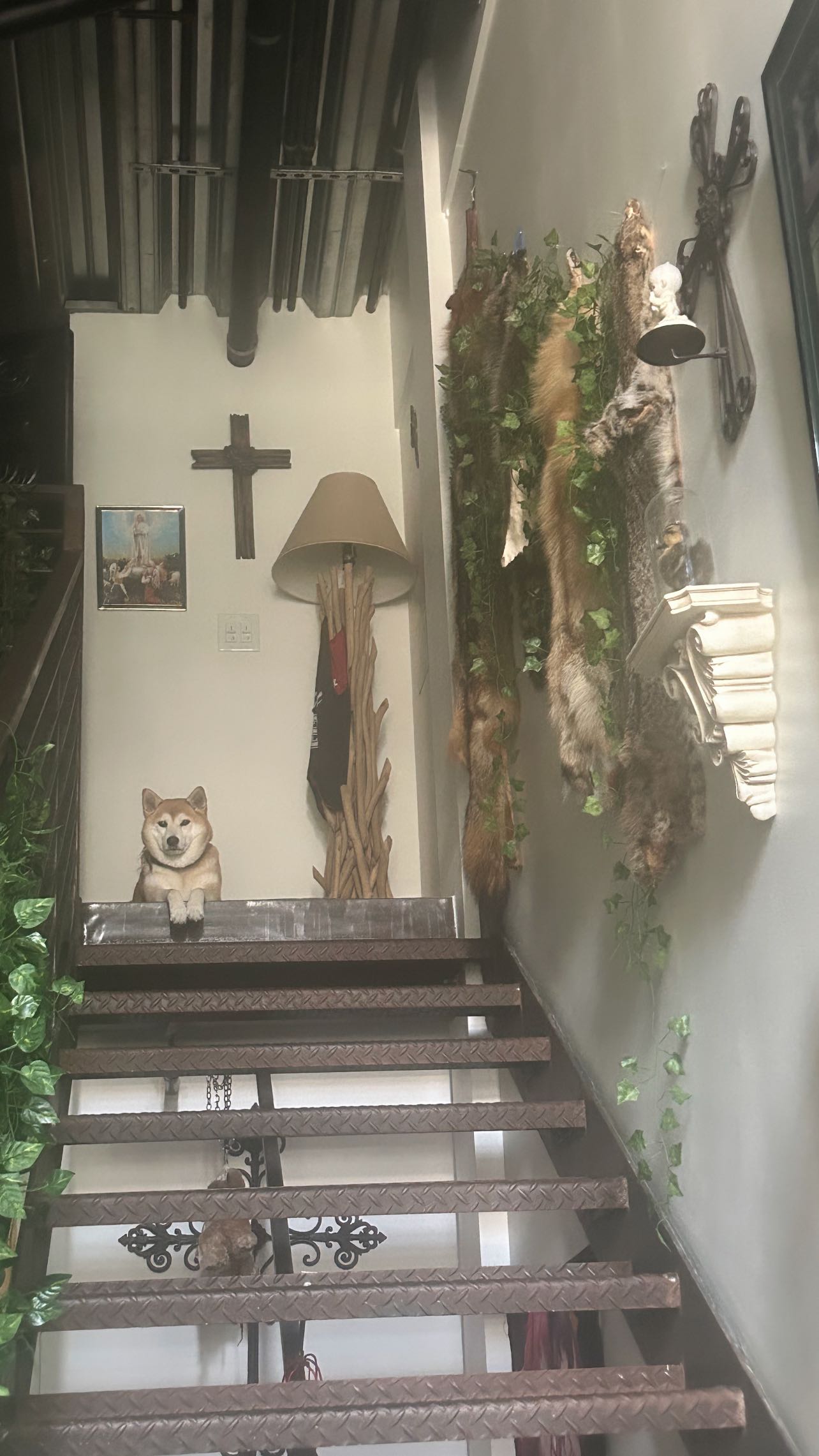 zommmbri instagram image archive image