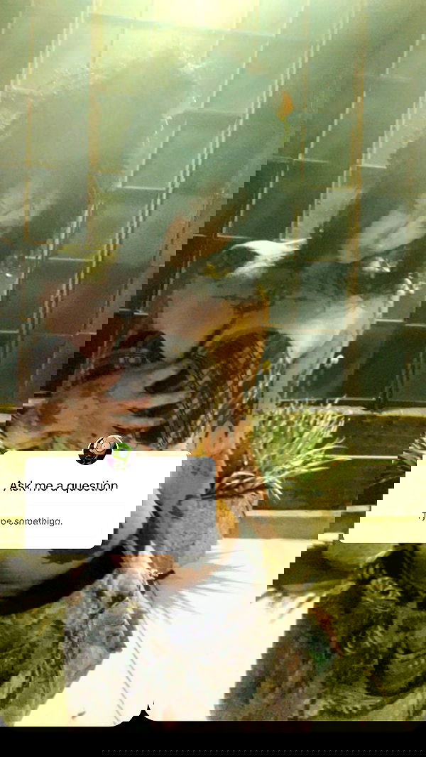 zommmbri image ~ Altpins