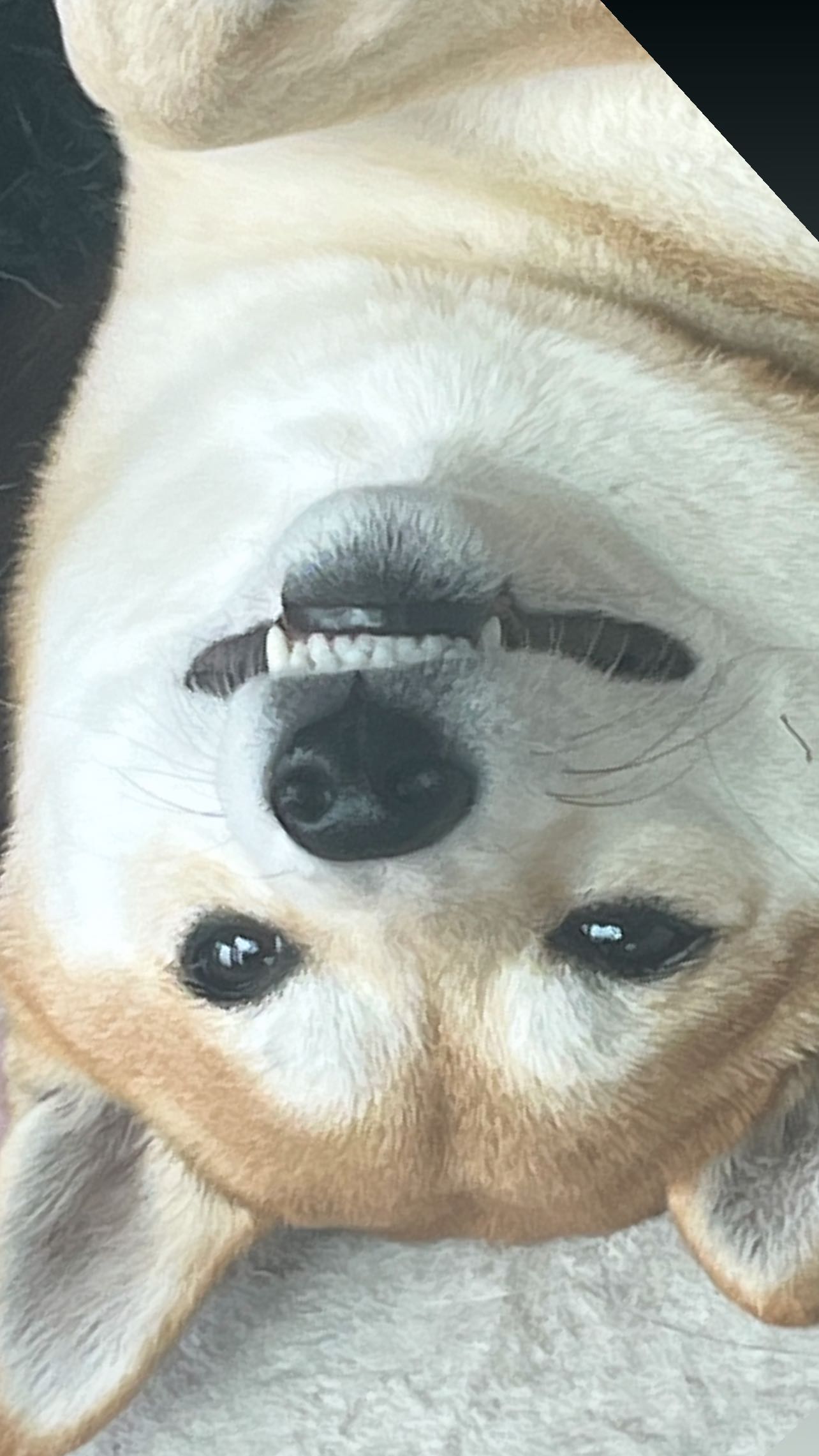 zommmbri instagram image archive image