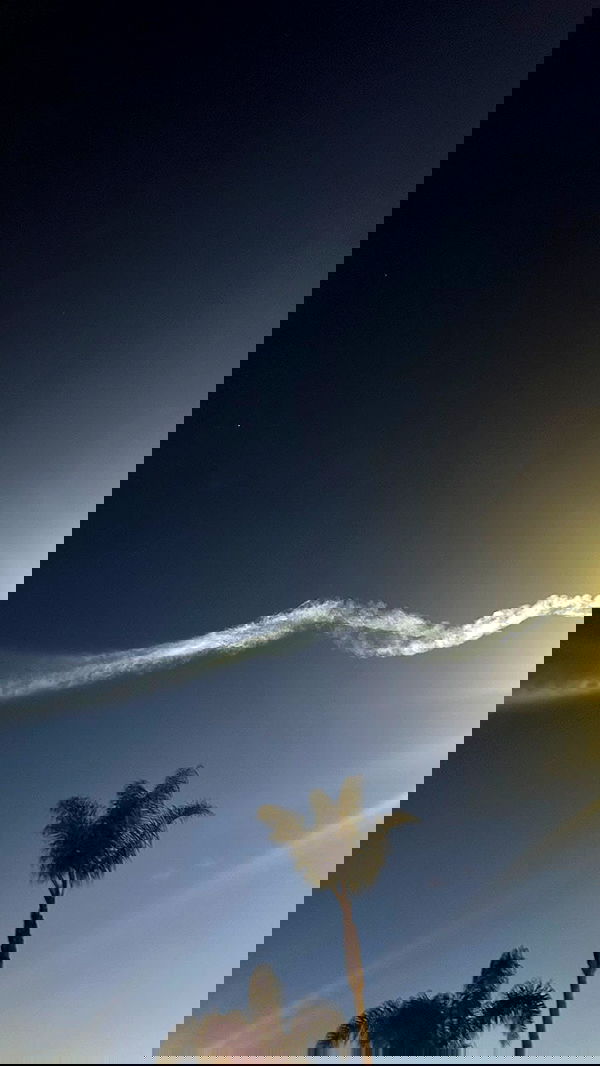 zommmbri image ~ Altpins