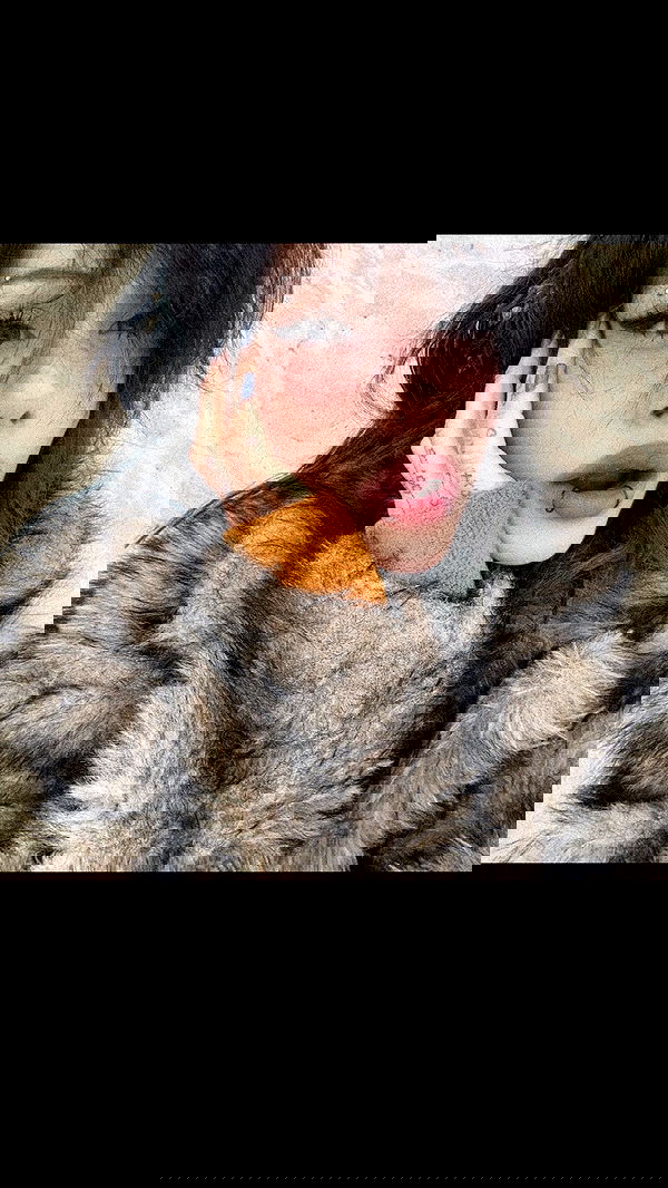 zommmbri image ~ Altpins